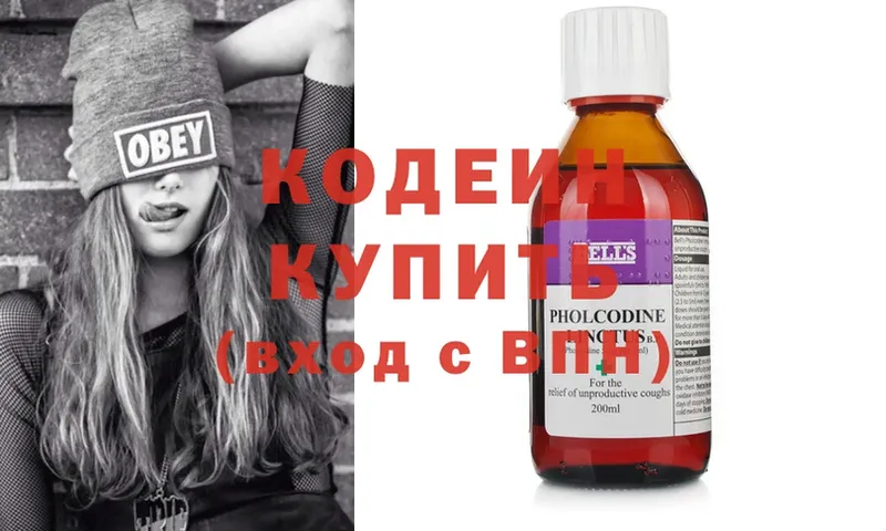 Кодеиновый сироп Lean Purple Drank  где купить наркотик  Анива 