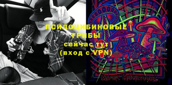 амф Няндома
